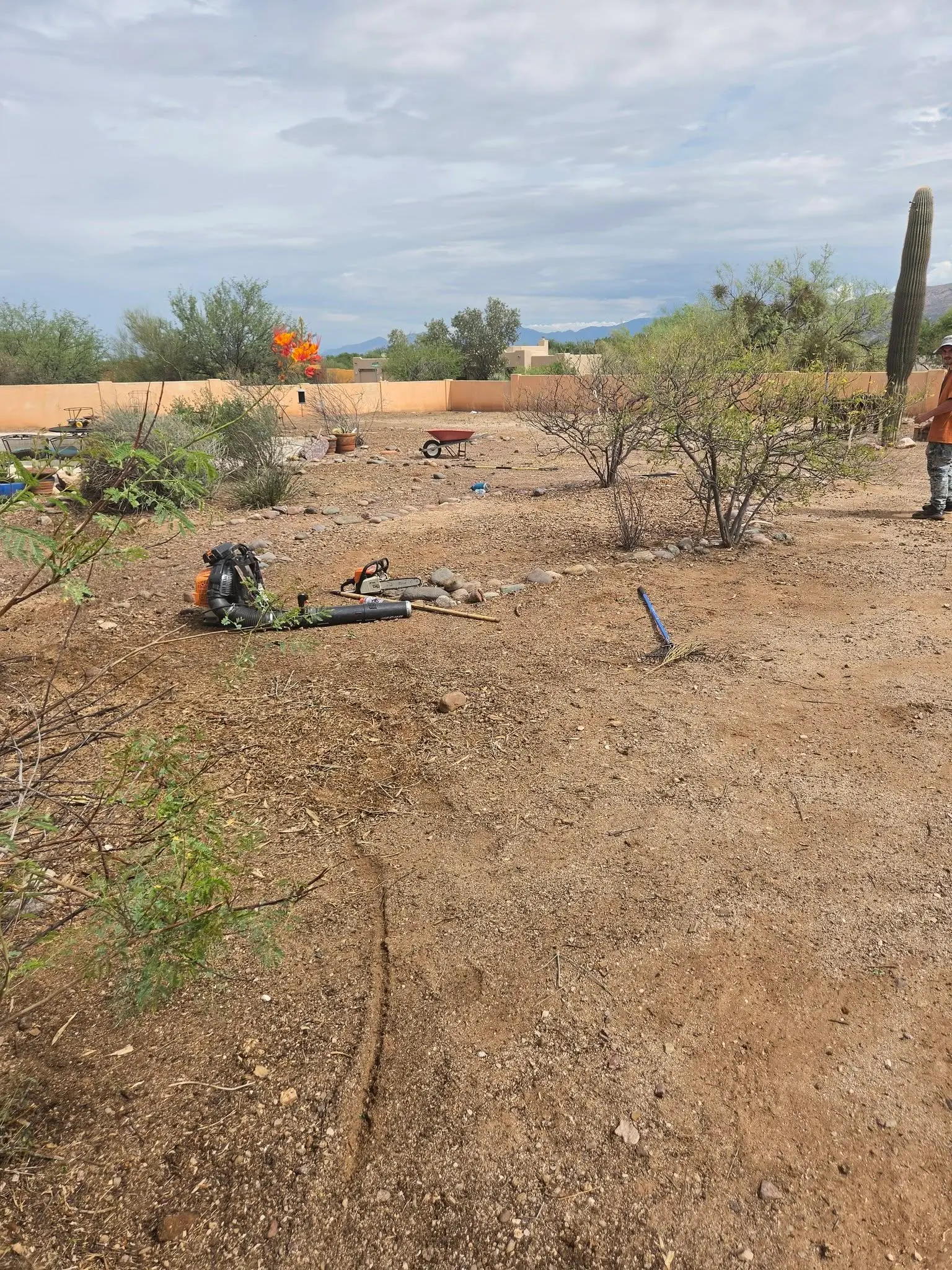 Landscape maintenance and cleanup on a Tucson desert property