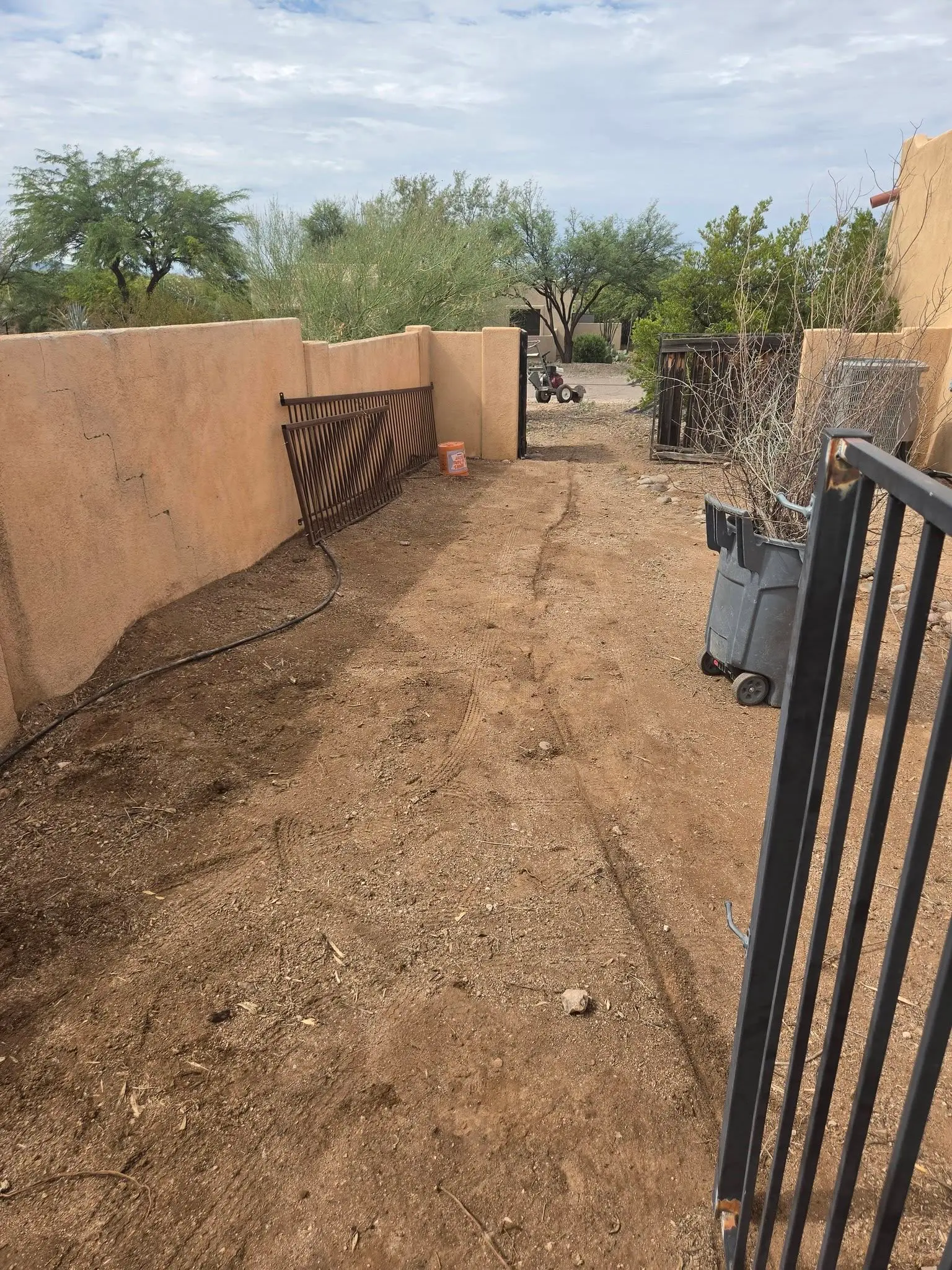 One-time landscape cleanup on an overgrown Tucson yard