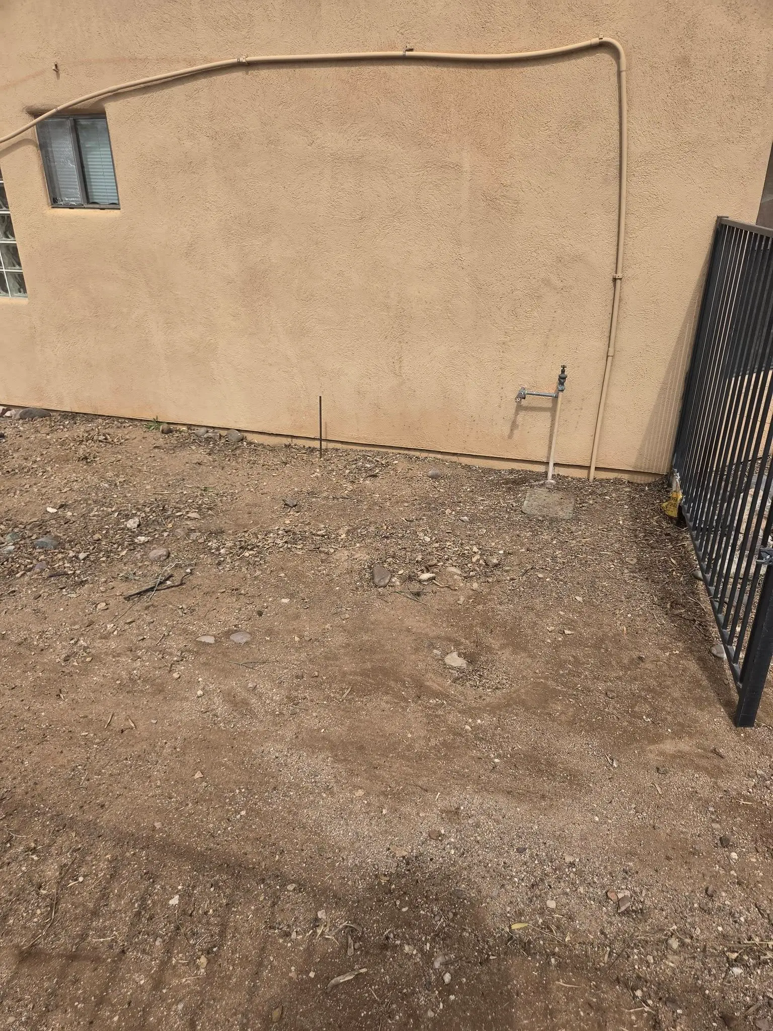 Desert yard after a one-time landscape cleanup service by Big Ants Landscaping in Marana, Arizona