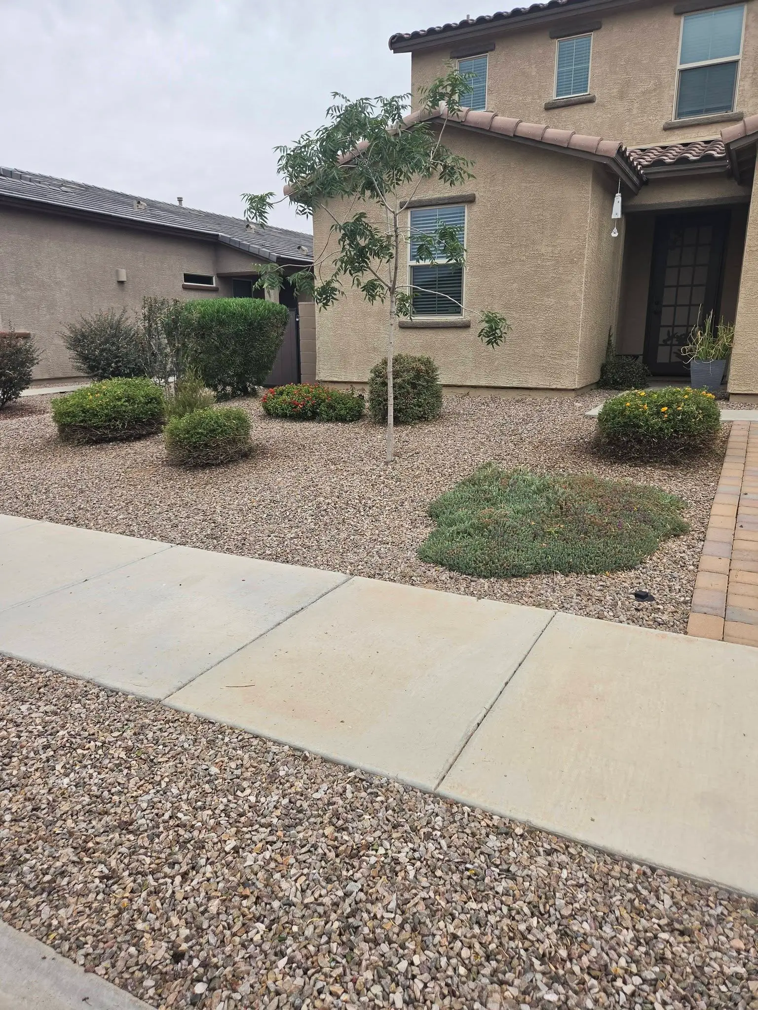 Residential landscaping maintenance service in Arizona