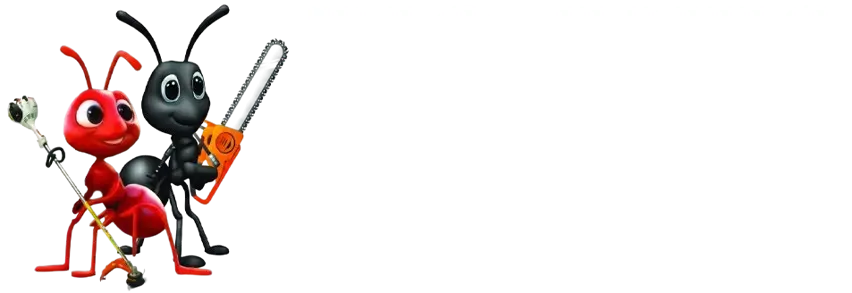 Big Ants Landscaping LLC — Landscaping and Tree Service Experts